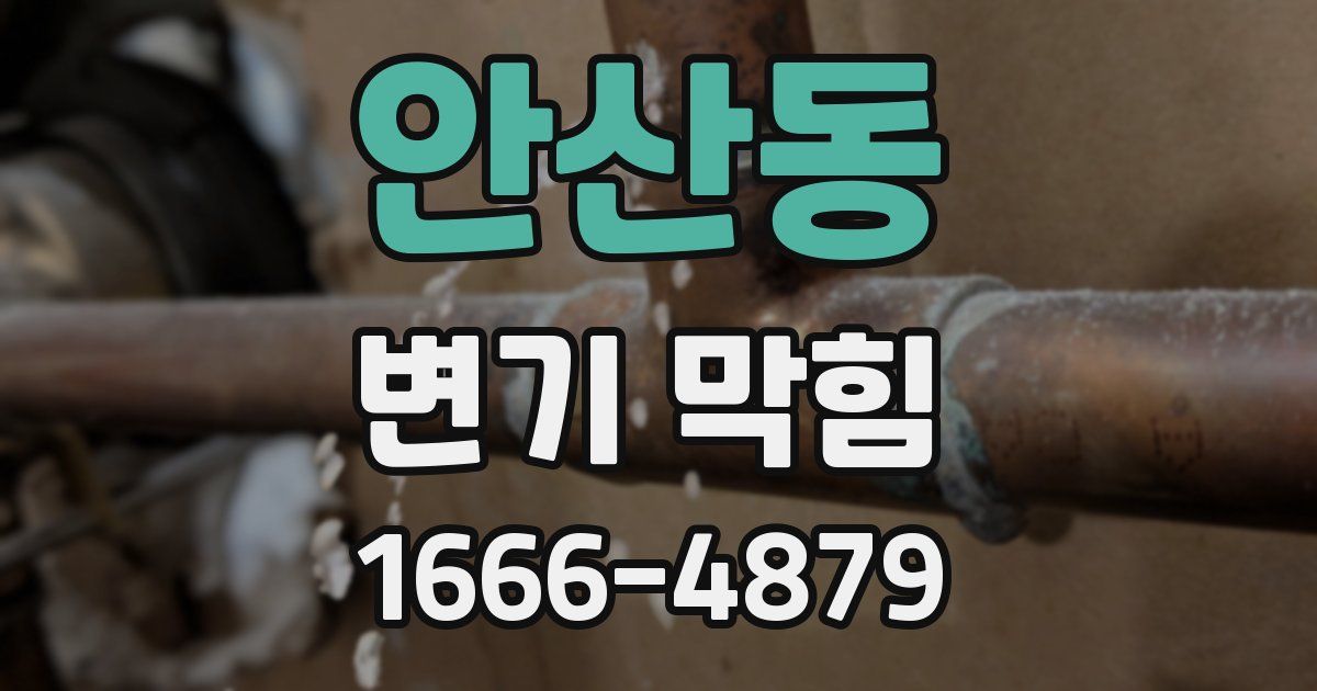 안산동 변기 막힘