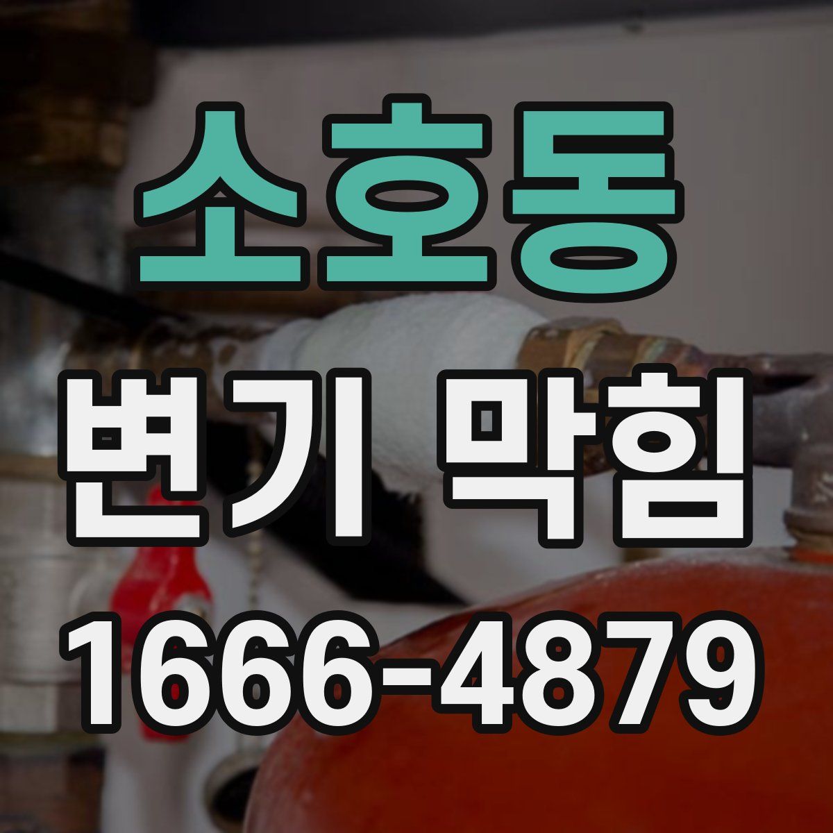 소호동 변기 막힘