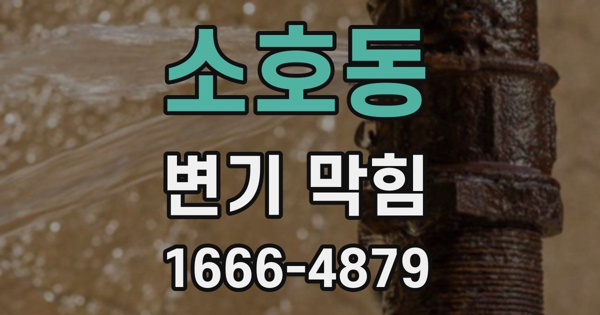 소호동 변기 막힘