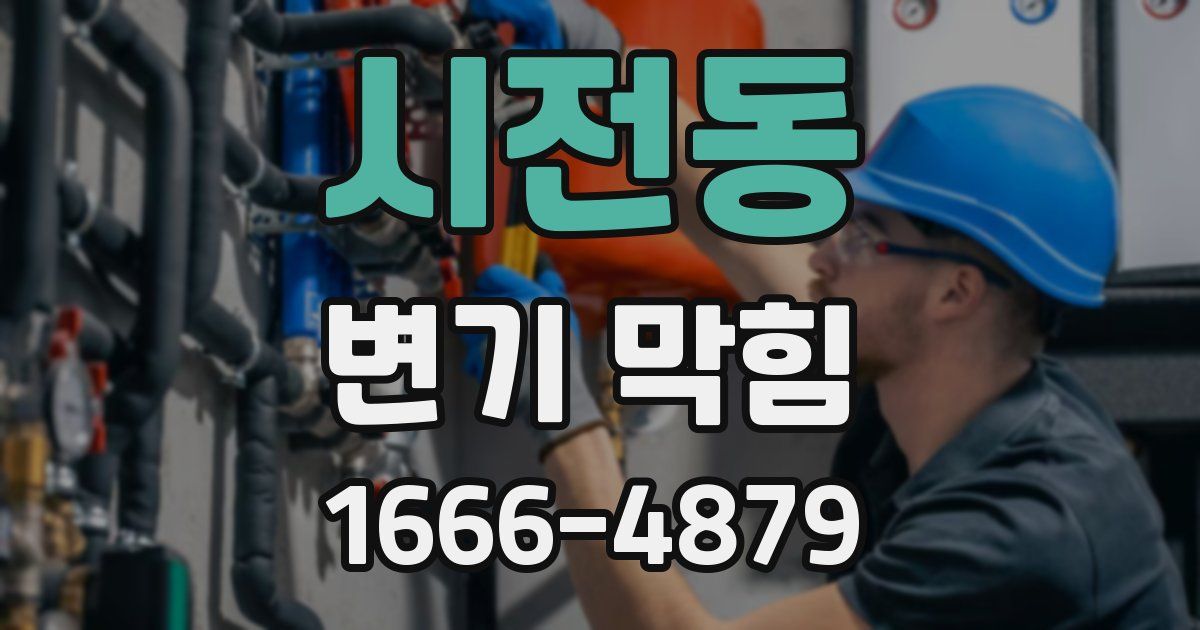 시전동 변기 막힘