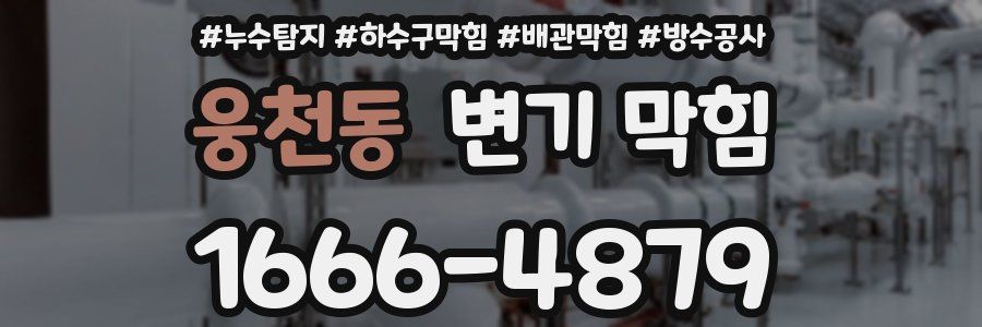 웅천동 변기 막힘
