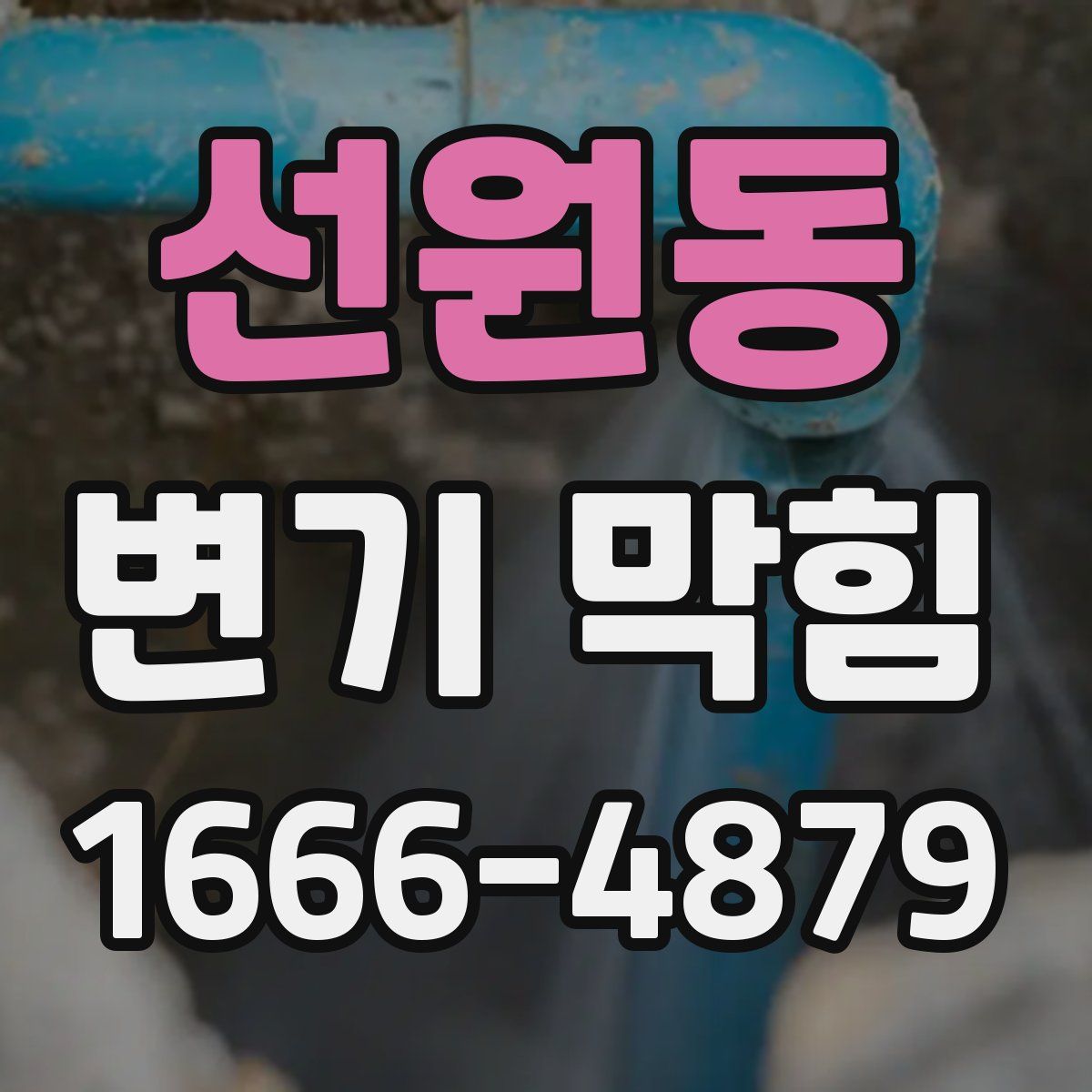 선원동 변기 막힘