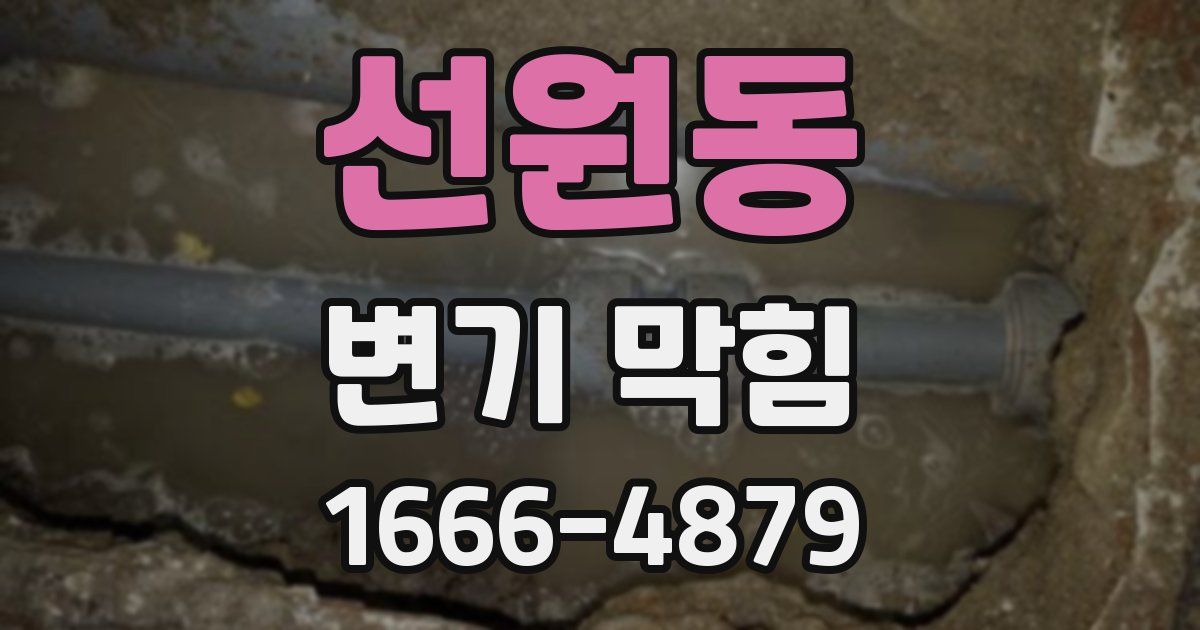 선원동 변기 막힘