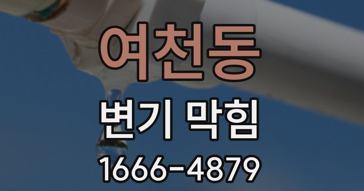 여천동 변기 막힘