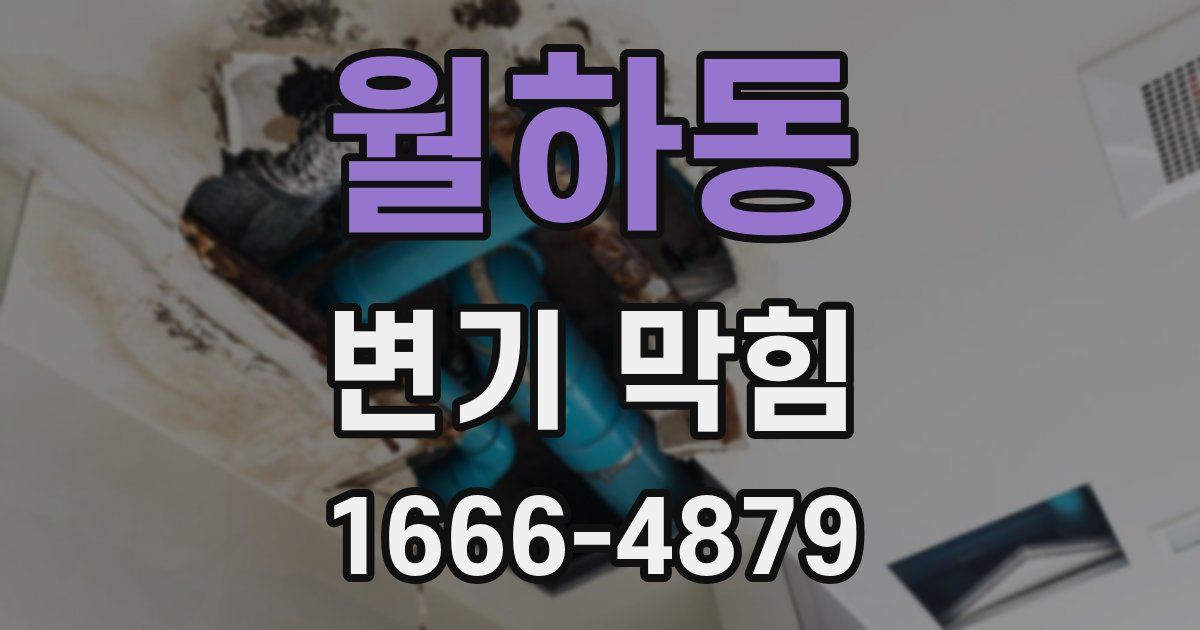월하동 변기 막힘