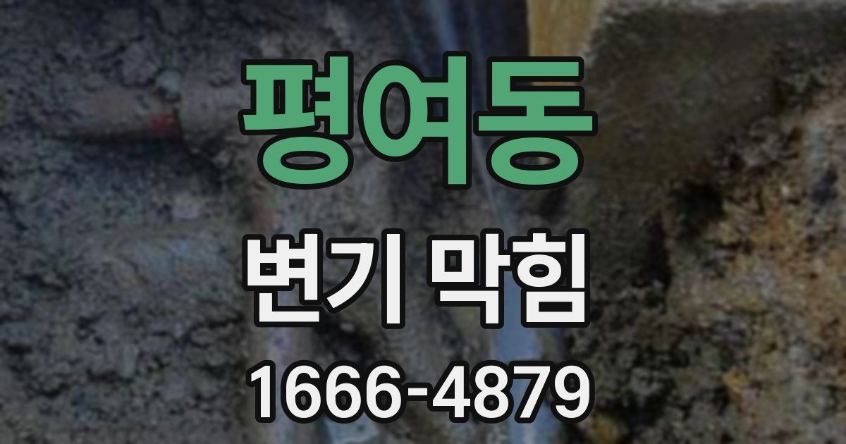 평여동 변기 막힘