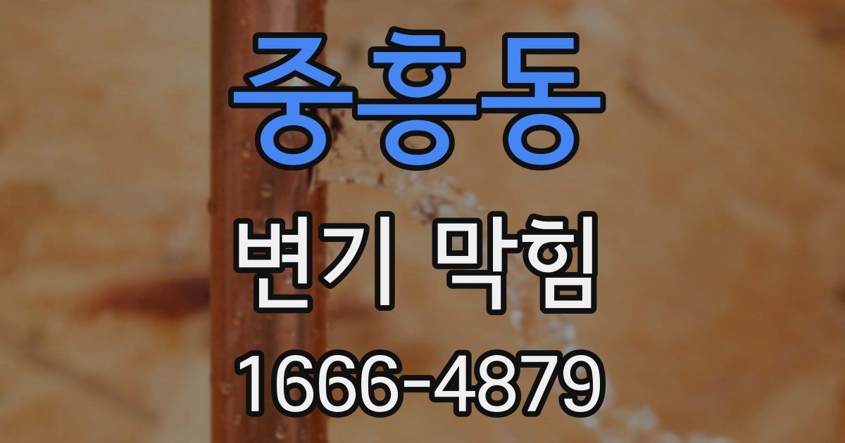 중흥동 변기 막힘