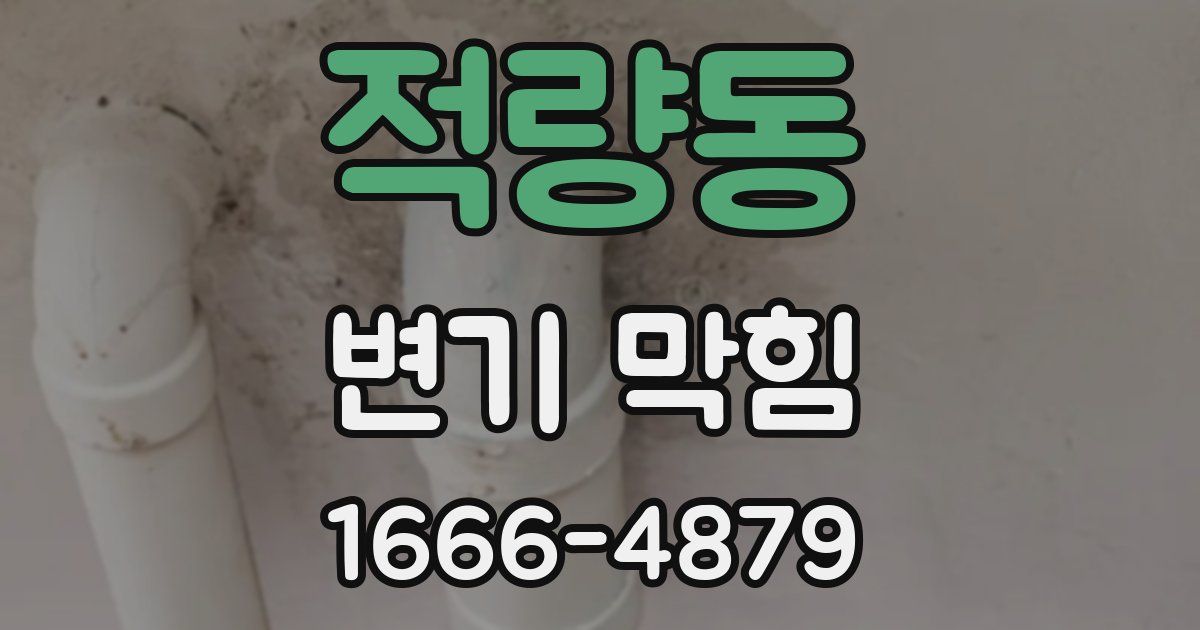 적량동 변기 막힘
