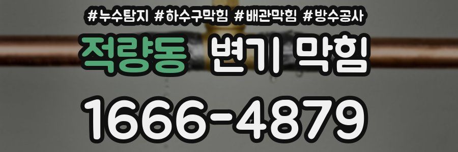 적량동 변기 막힘