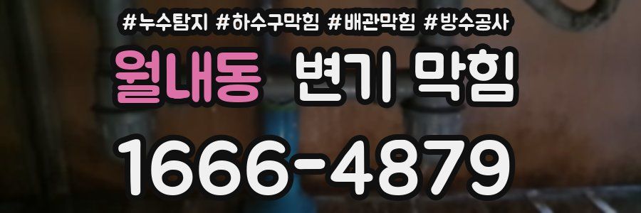 월내동 변기 막힘