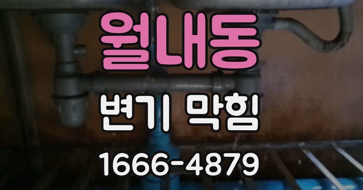 월내동 변기 막힘