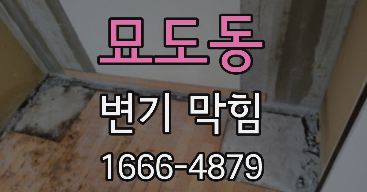 묘도동 변기 막힘