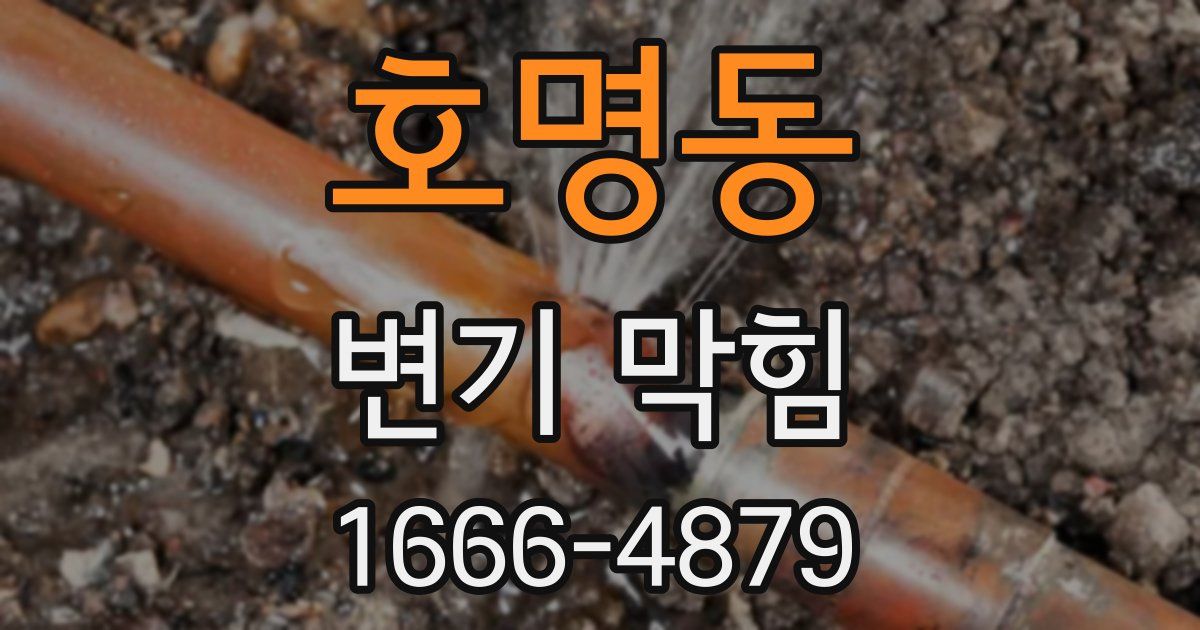 호명동 변기 막힘