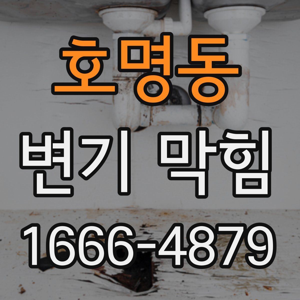 호명동 변기 막힘