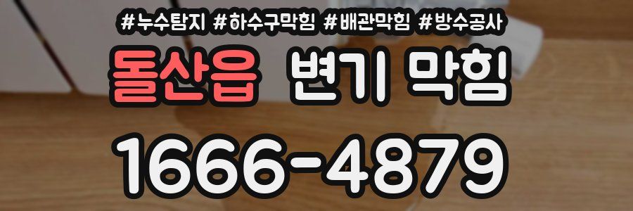 돌산읍 변기 막힘