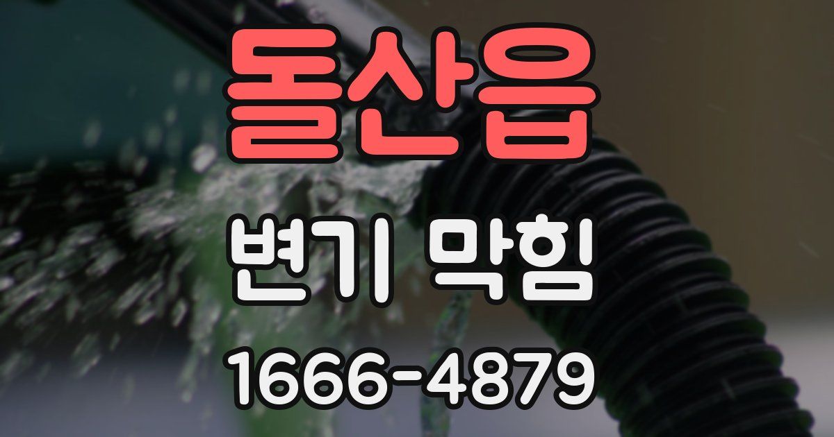 돌산읍 변기 막힘