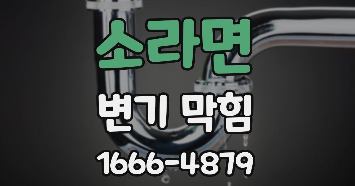 소라면 변기 막힘