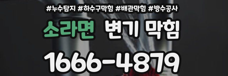 소라면 변기 막힘