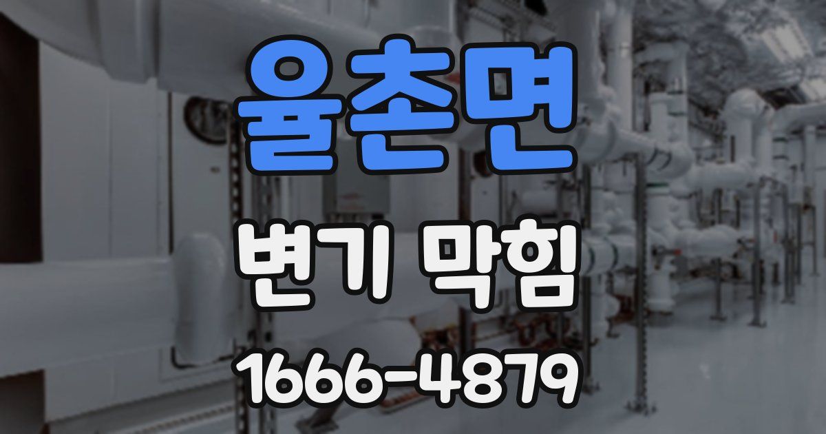 율촌면 변기 막힘