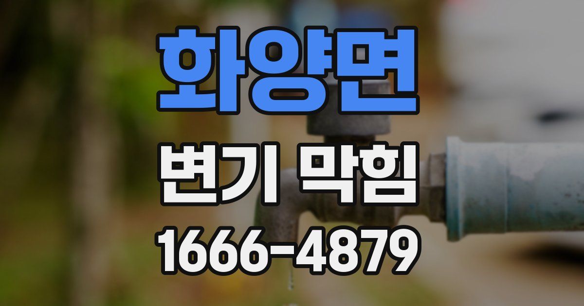 화양면 변기 막힘