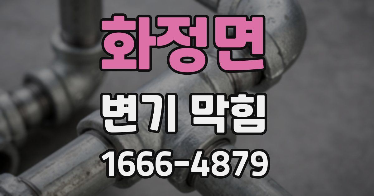 화정면 변기 막힘