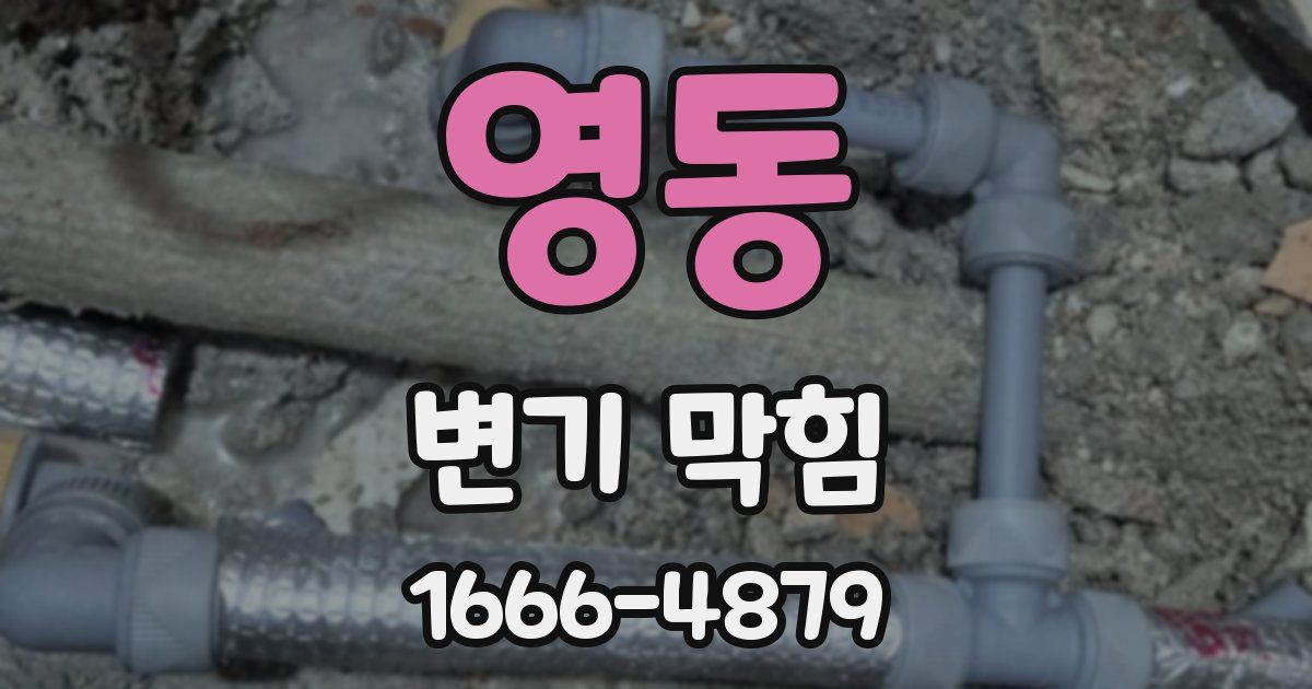 영동 변기 막힘