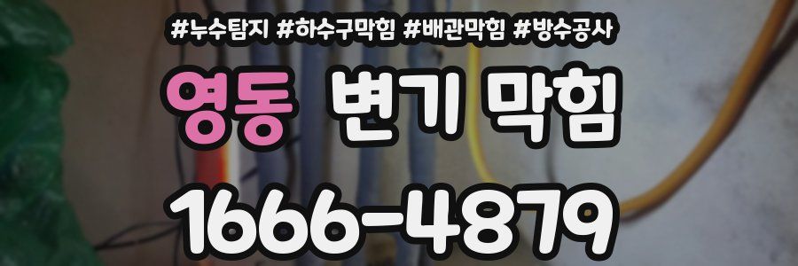 영동 변기 막힘