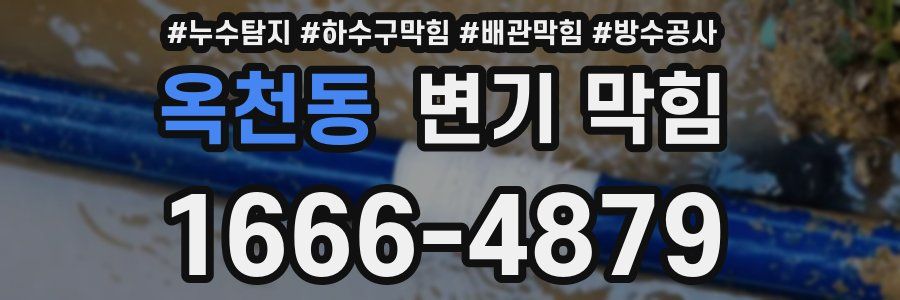 옥천동 변기 막힘