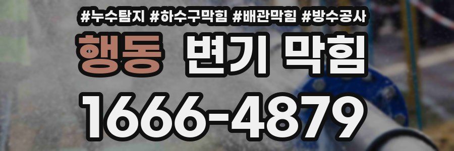행동 변기 막힘