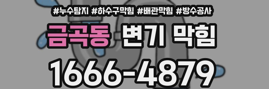 금곡동 변기 막힘