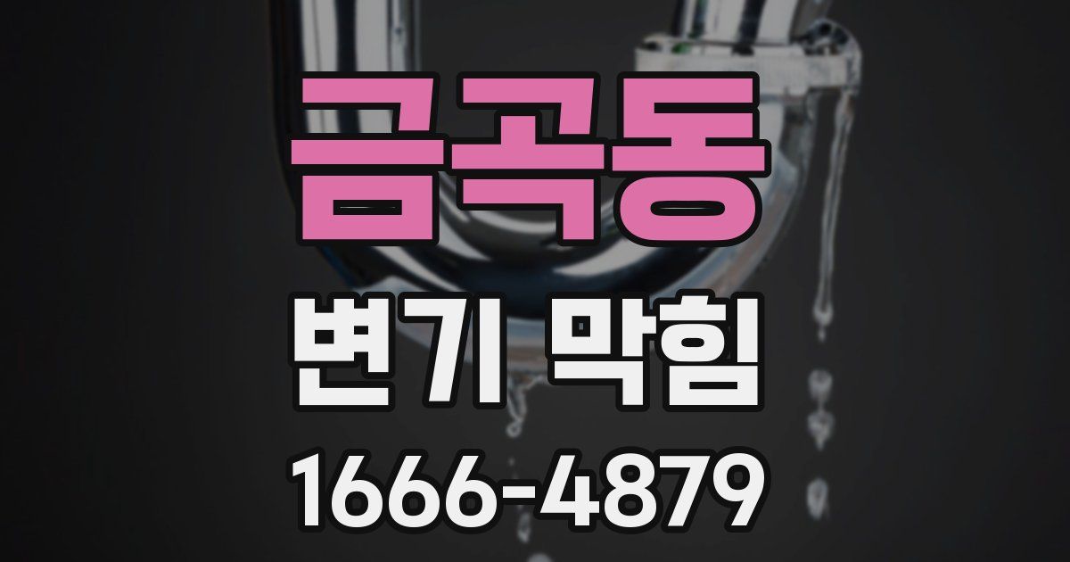 금곡동 변기 막힘