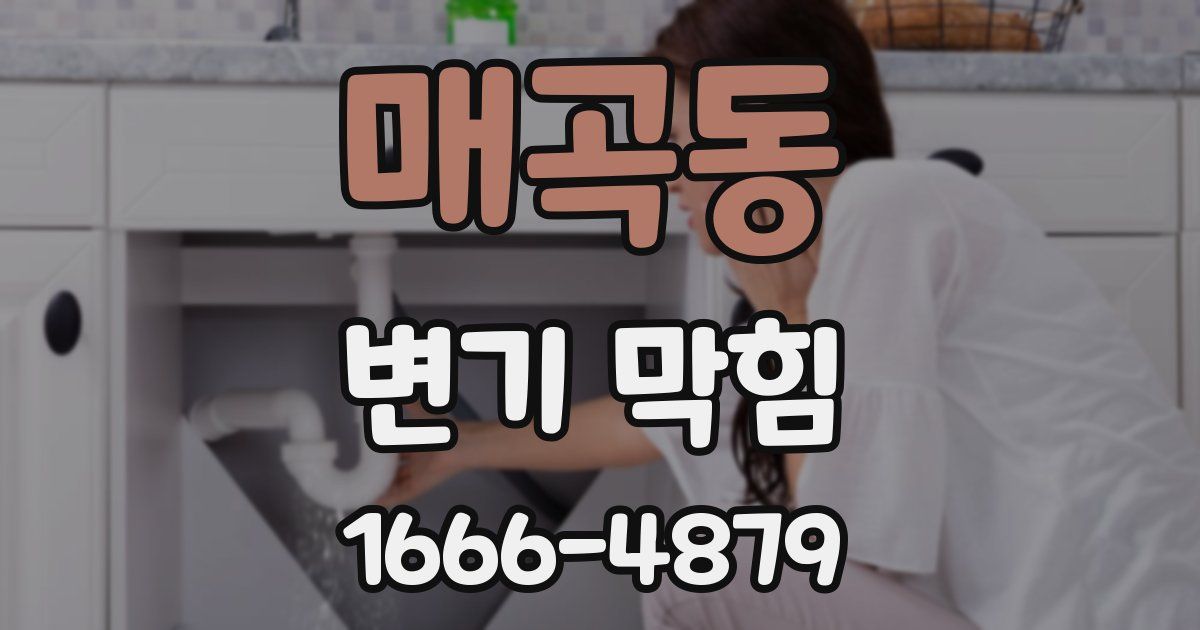 매곡동 변기 막힘
