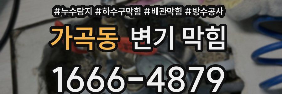 가곡동 변기 막힘