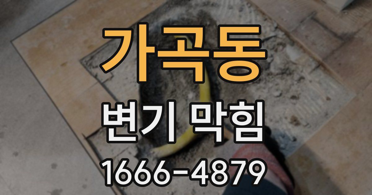 가곡동 변기 막힘