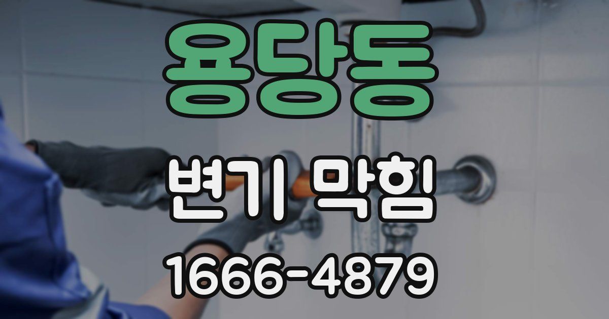 용당동 변기 막힘