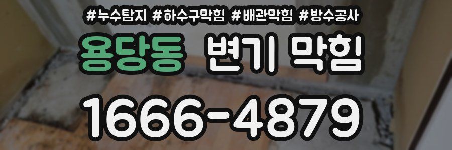 용당동 변기 막힘