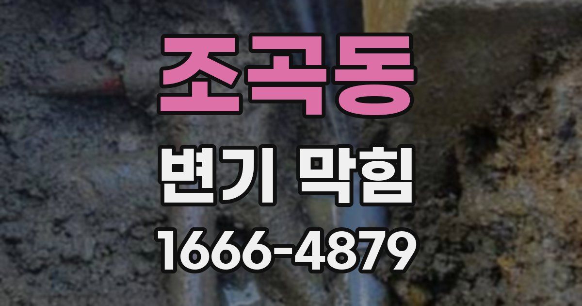 조곡동 변기 막힘