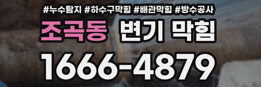 조곡동 변기 막힘
