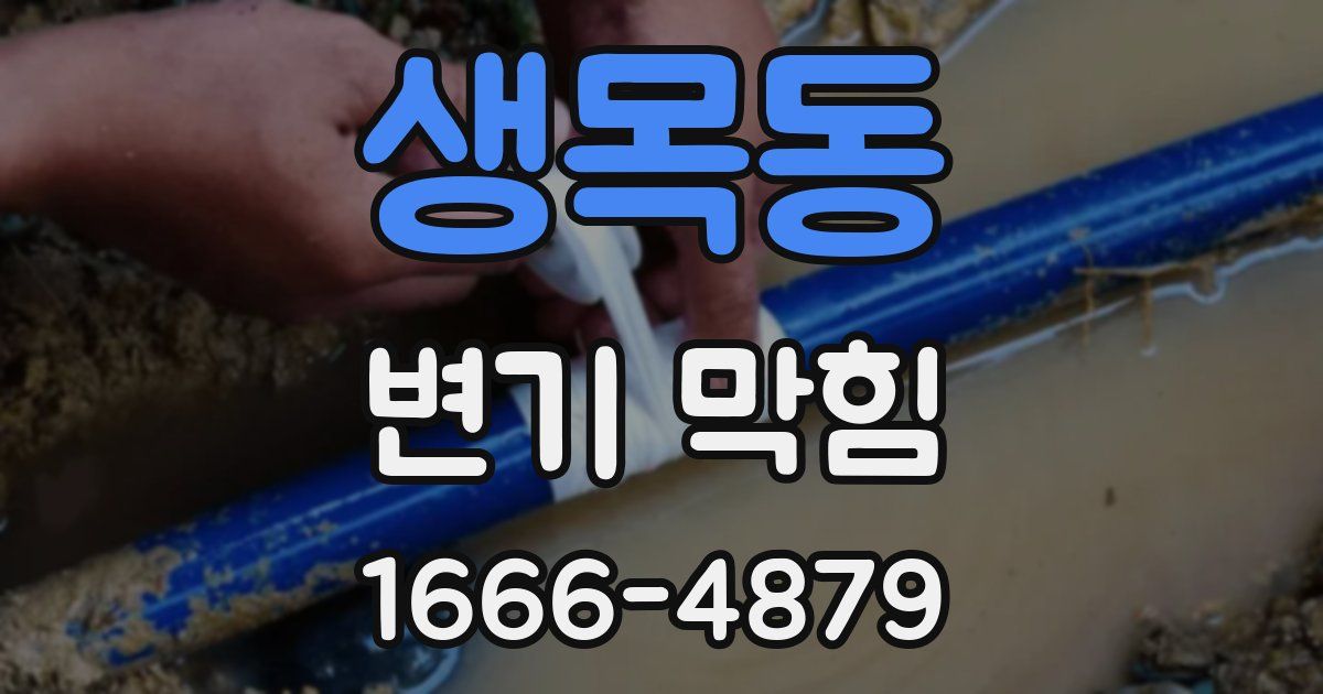 생목동 변기 막힘
