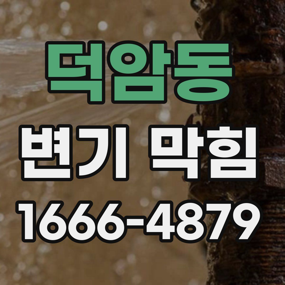 덕암동 변기 막힘