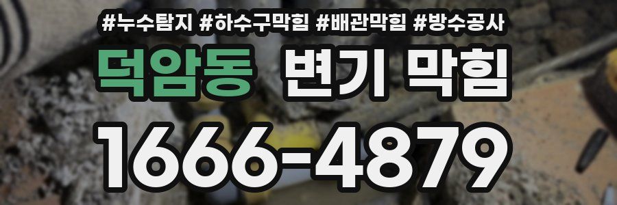 덕암동 변기 막힘