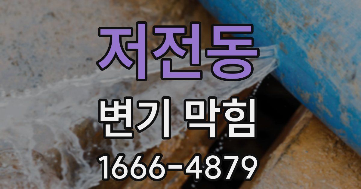 저전동 변기 막힘