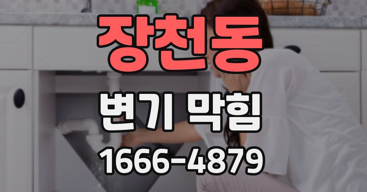 장천동 변기 막힘