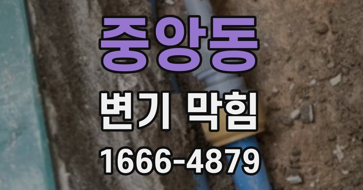 중앙동 변기 막힘