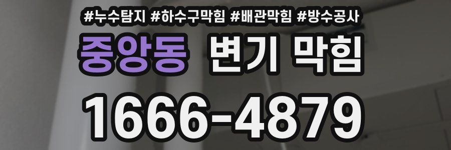 중앙동 변기 막힘