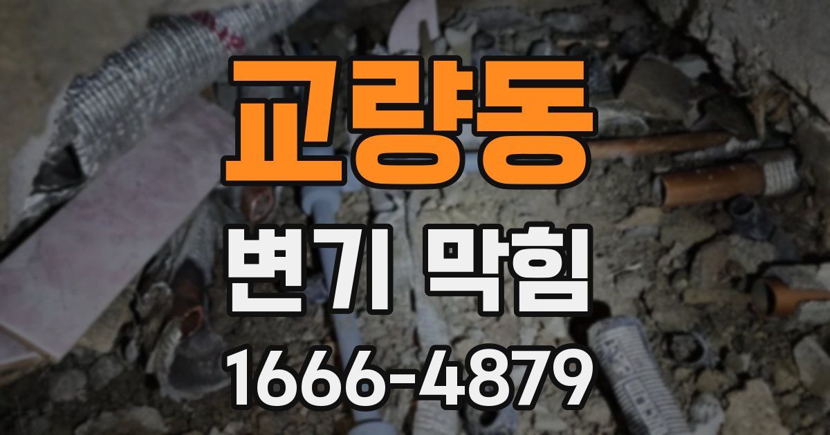 교량동 변기 막힘