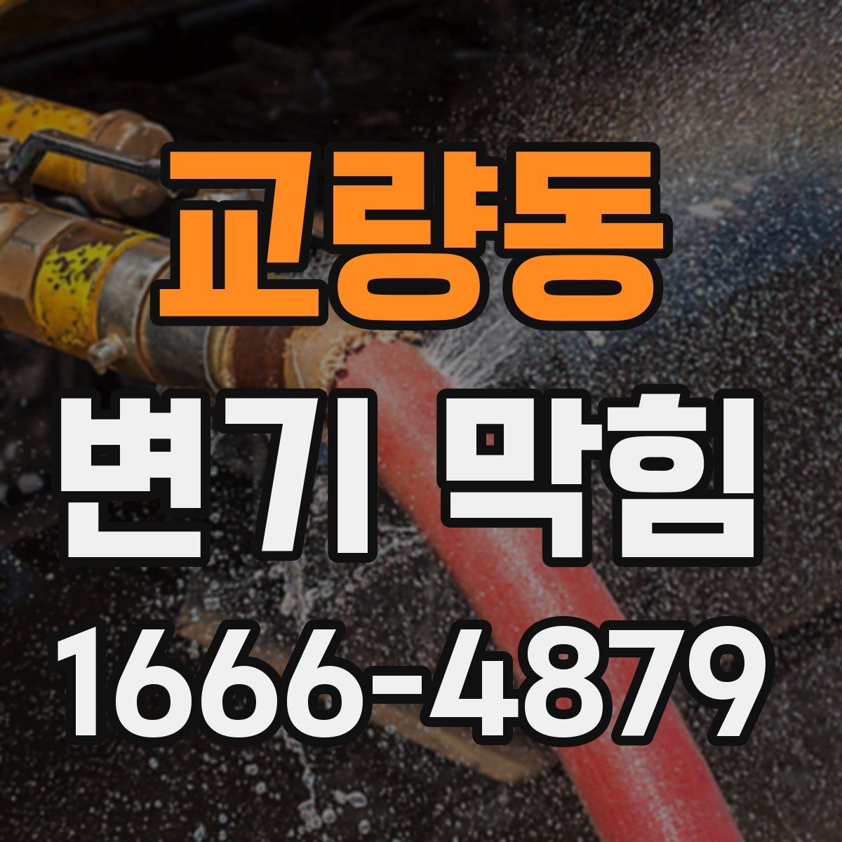 교량동 변기 막힘