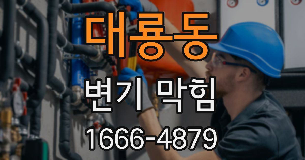 대룡동 변기 막힘