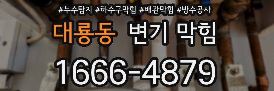 대룡동 변기 막힘