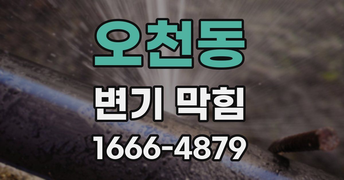 오천동 변기 막힘